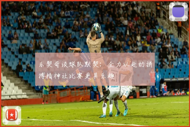 东契奇谈球队默契：全力以赴的拼搏精神让比赛更具乐趣