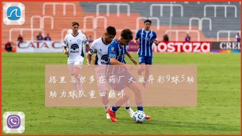 格里马尔多在药厂大放异彩9球5助助力球队重回巅峰