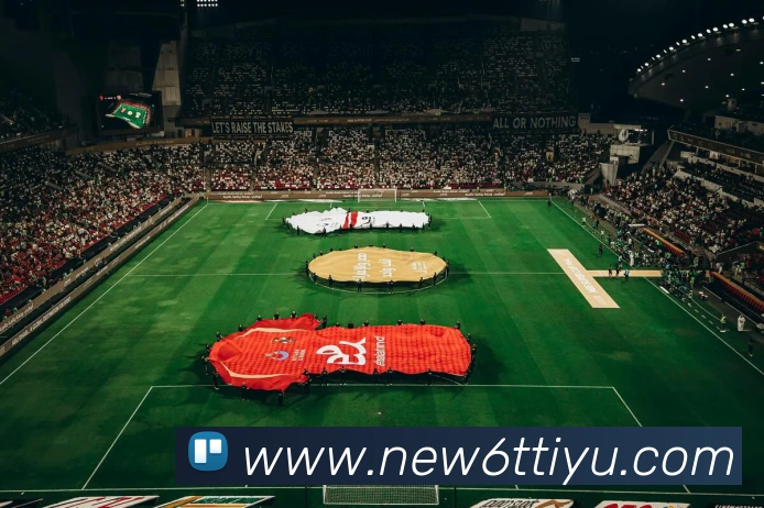 6t体育平台生态图